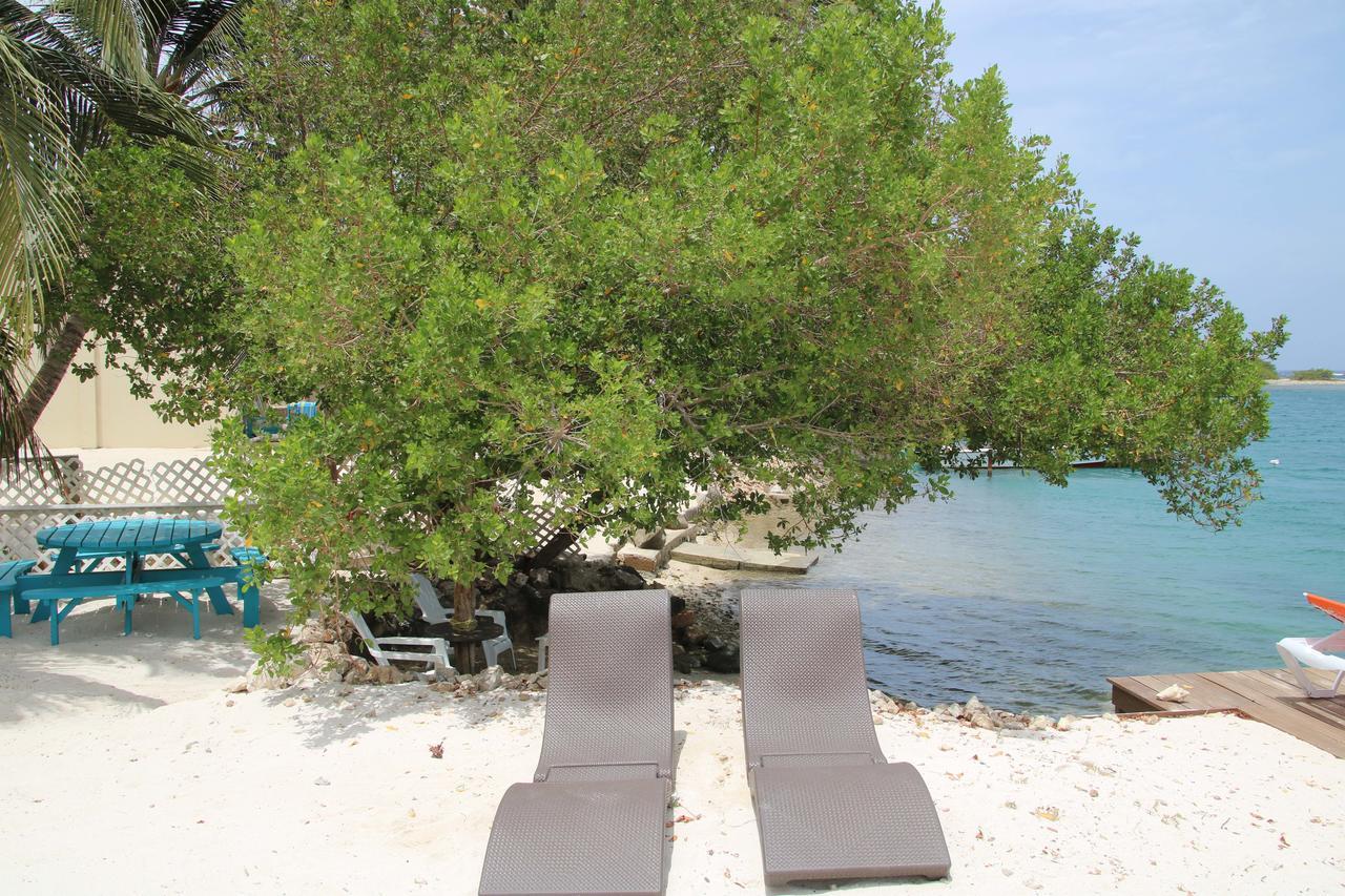 Coral Reef Beach Savaneta Esterno foto