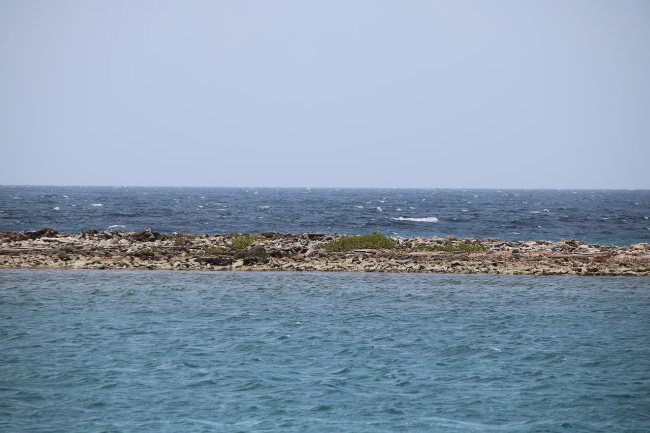 Coral Reef Beach Savaneta Esterno foto